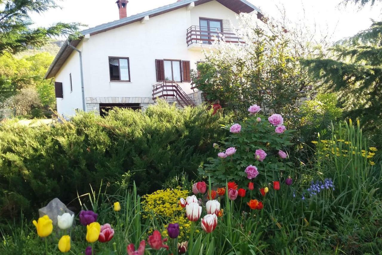 Kuca Sonja Villa Vranja Exterior photo